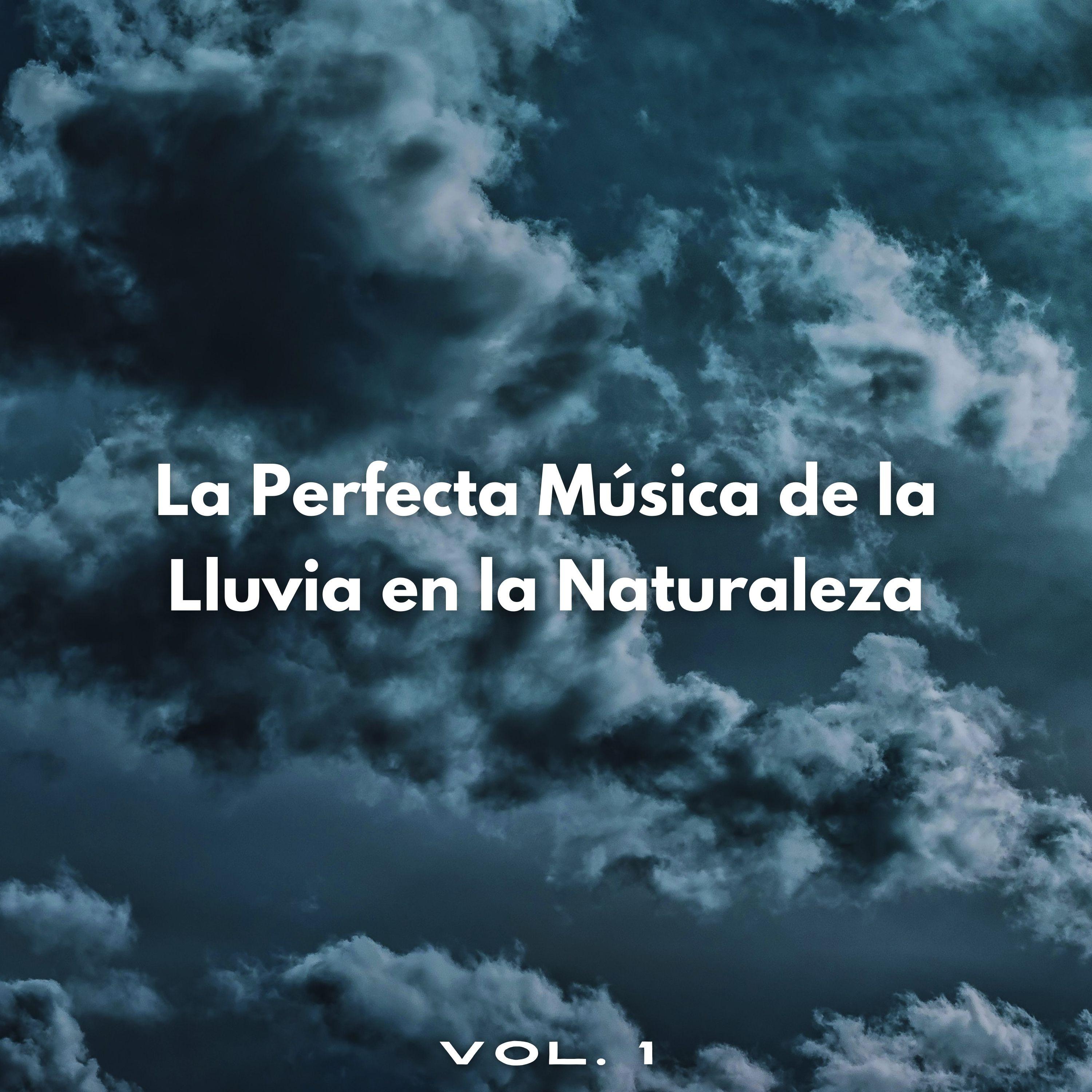Duerme Más Rápido Con Tormentas Intensas_Escuela de Lluvia_La Perfecta Música De La Lluvia En La Naturaleza Vol. 1 | 在线播放_Duerme Más Rápido Con Tormentas Intensas歌词_Duerme Más Rápido Con Tormentas Intensas下载 | 网易云音乐