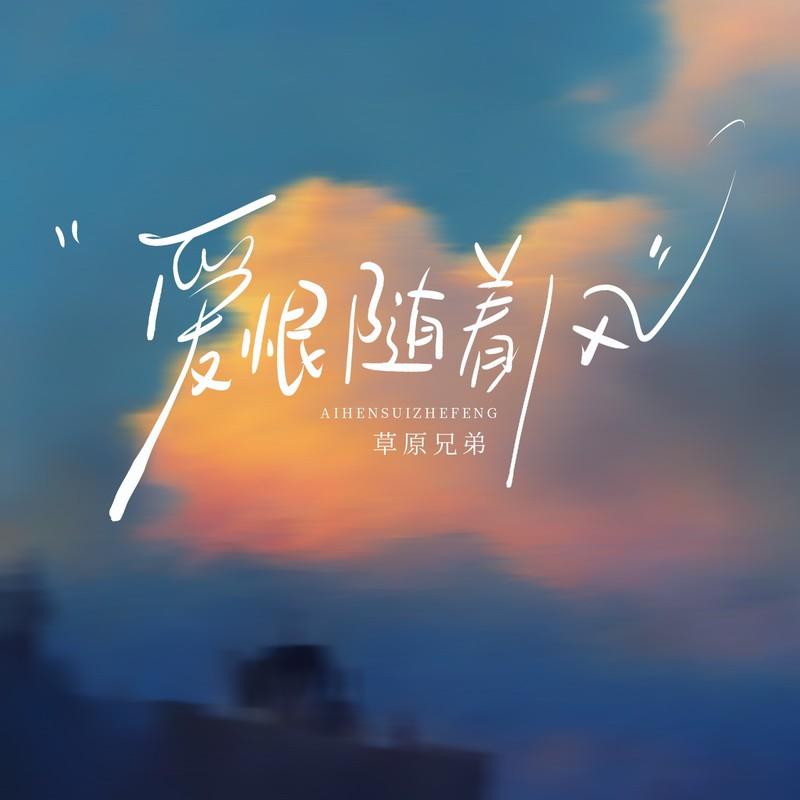 爱恨随着风(DJ版)封面