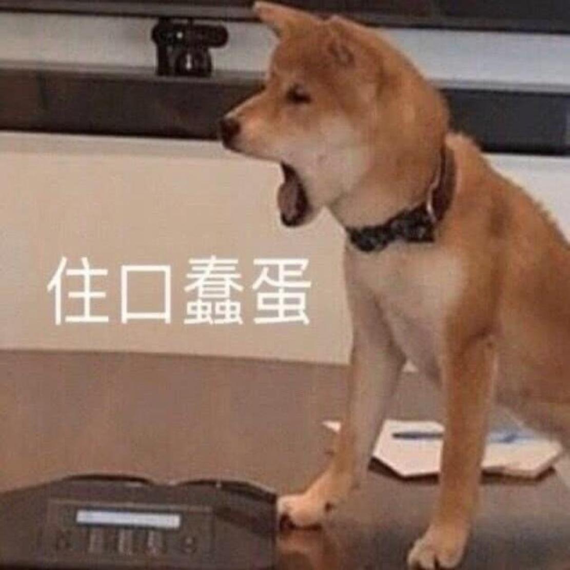 此地无银二百两封面