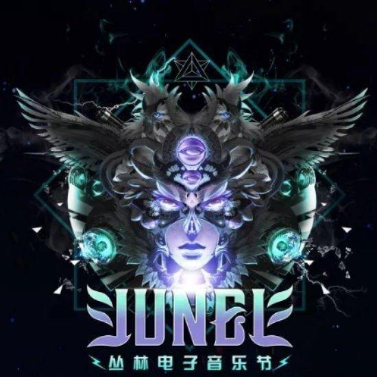 2018丛林电子音乐节JUNGLE
