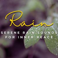 Raindrop Meditations: Serene Rain Sounds for Inner Peace