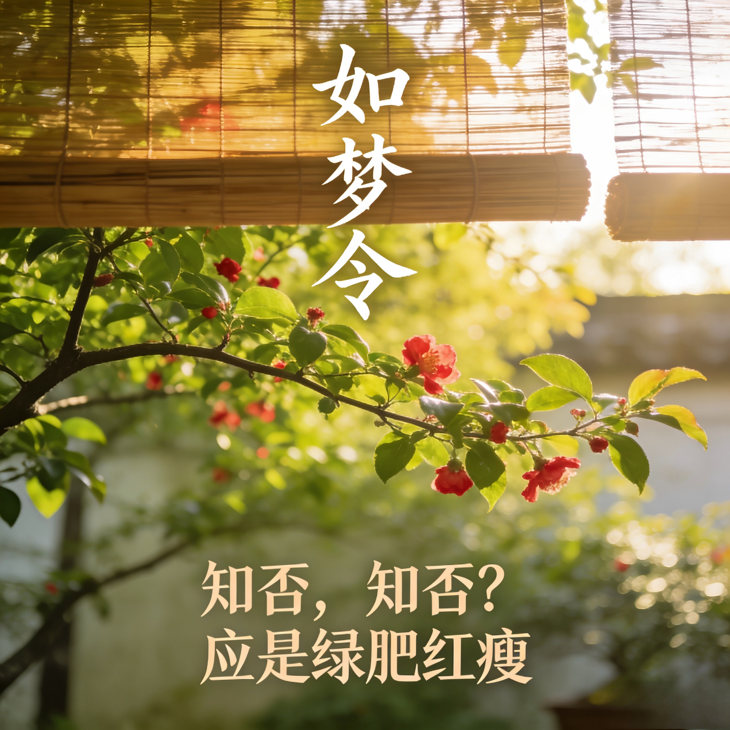 如梦令（知否，知否？应是绿肥红瘦）封面