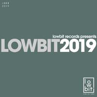 Lowbit 2019