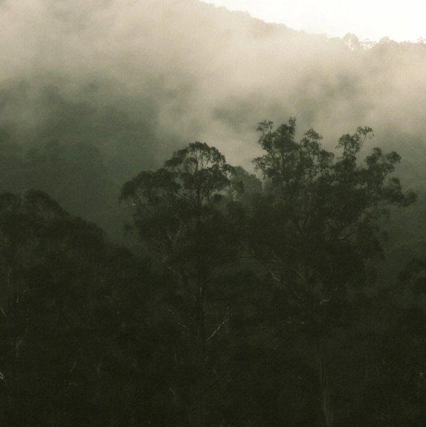 沉浸4:Sleep On The Wing:Bibio