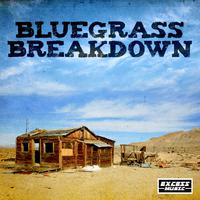 Bluegrass Breakdown