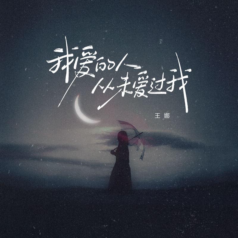我爱的人从未爱过我 (DJ豪大大版)封面