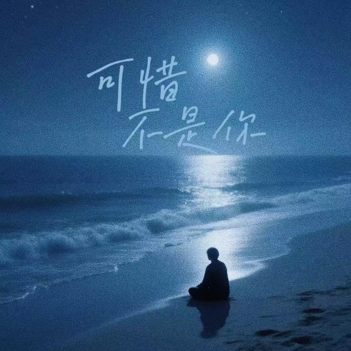 可惜不是你 - 谢婧颖_菜菜颖封面