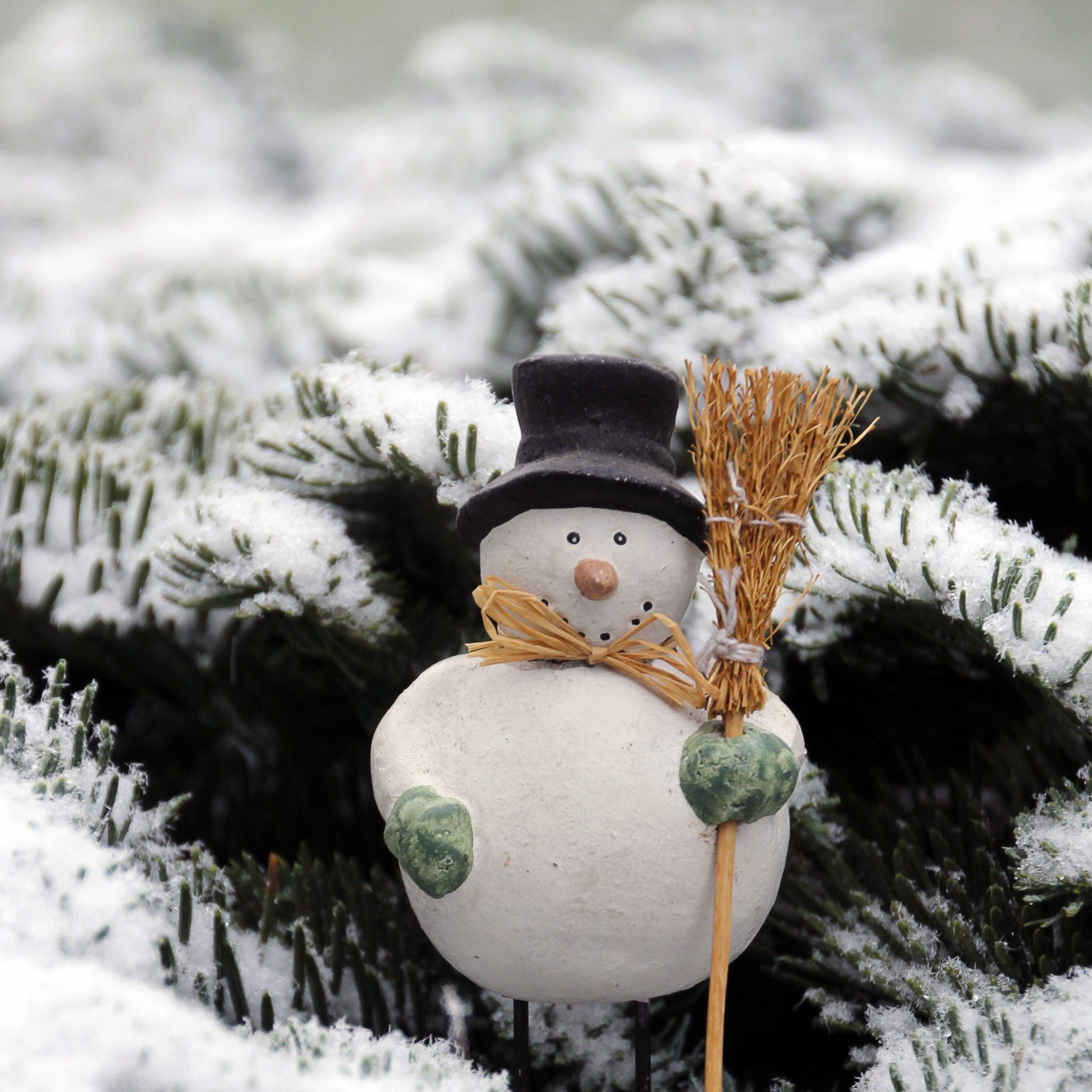 Tiny Tots with Their Eyes All A-Glow