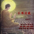 求佛渡我封面