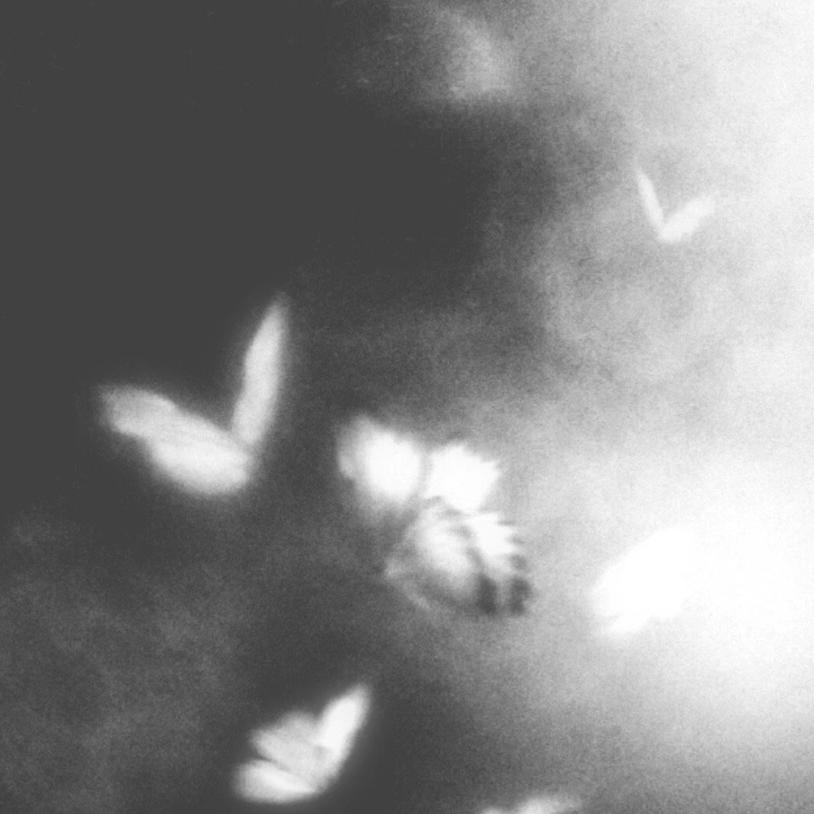 同我啜泣 共我悲鸣