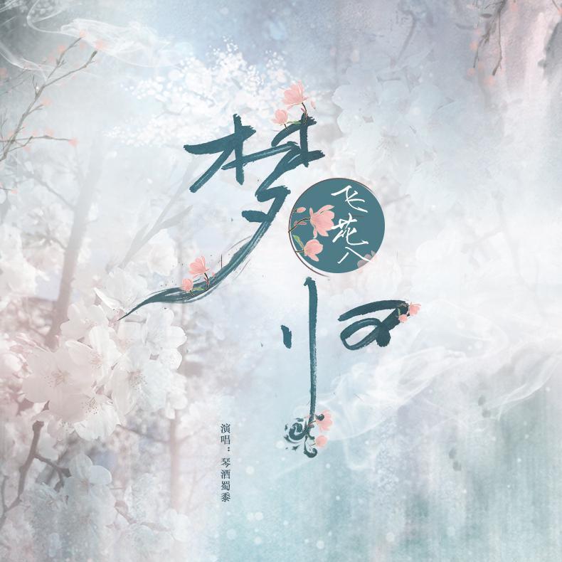 飞花入梦封面