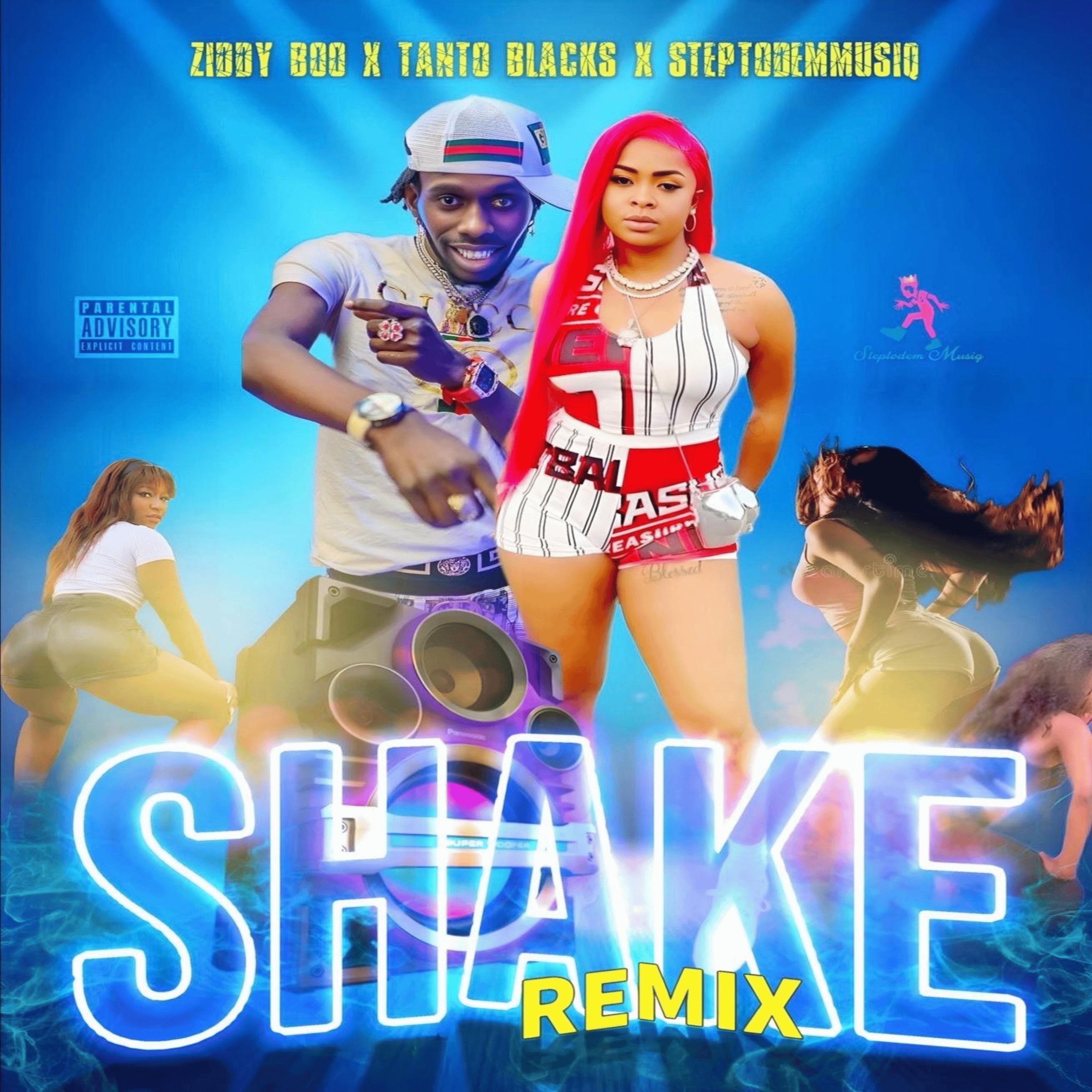 Shake Remix
