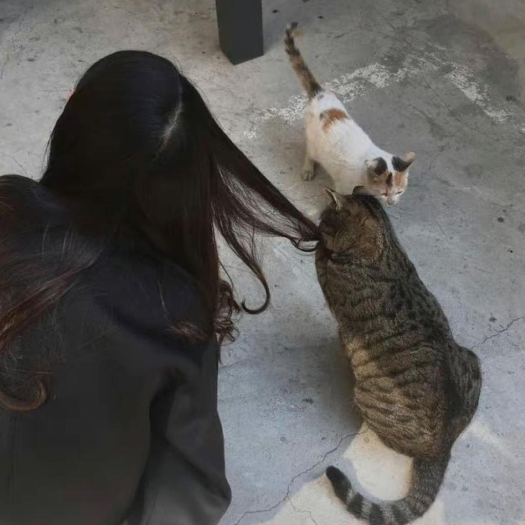 叉烧肉的聪明主人