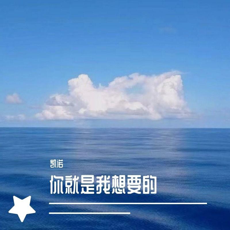 你就是我想要的封面