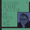 Jeff Tweedy - Filled With Wonder Once Again