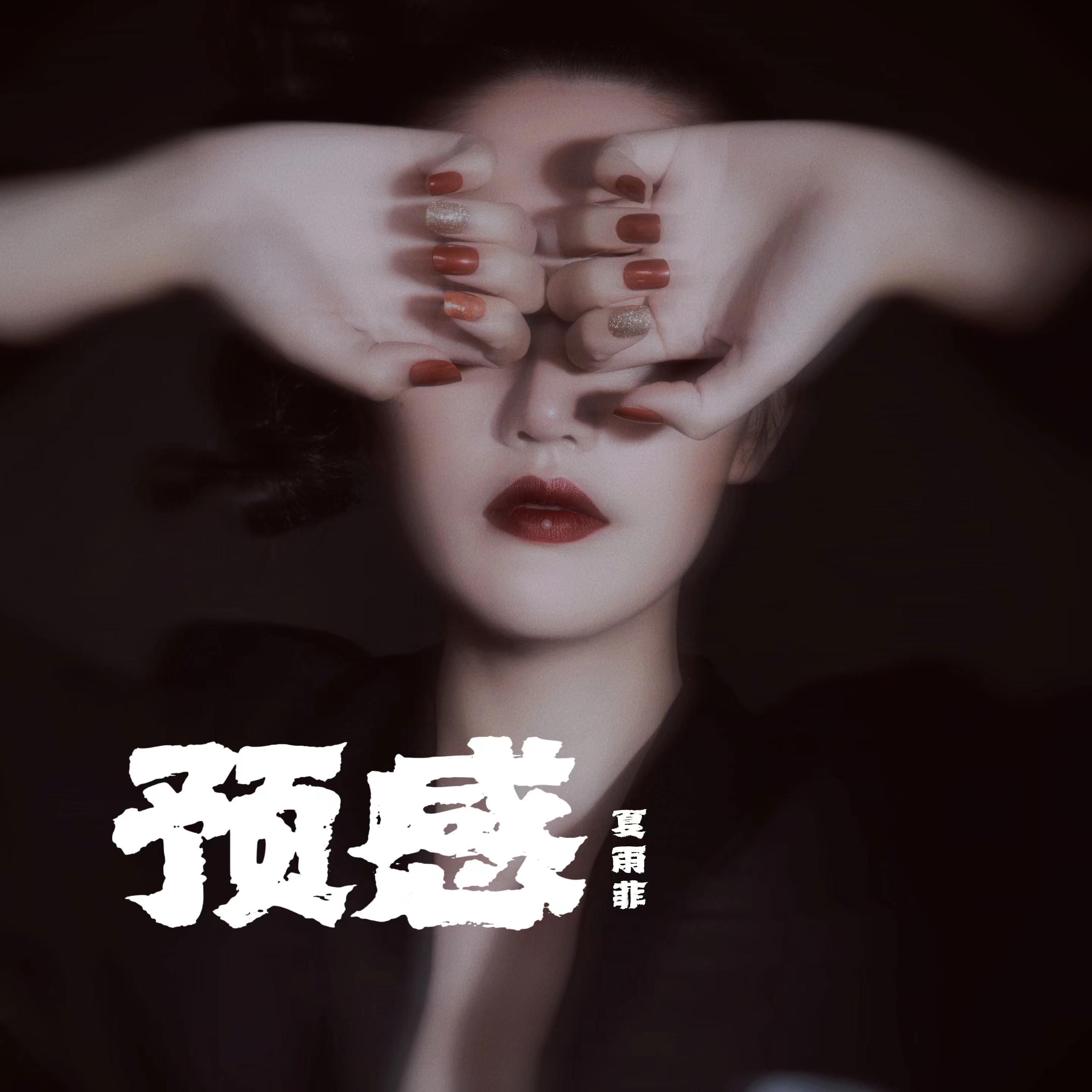 预感 (伴奏) - 夏雨菲封面