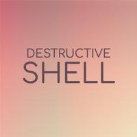 Destructive Shell