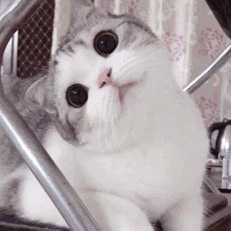 无之名愿于无同行