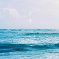 天海
