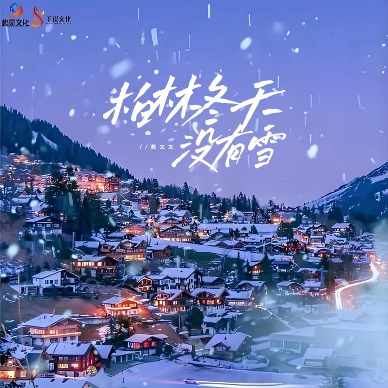 柏林冬天没有雪封面