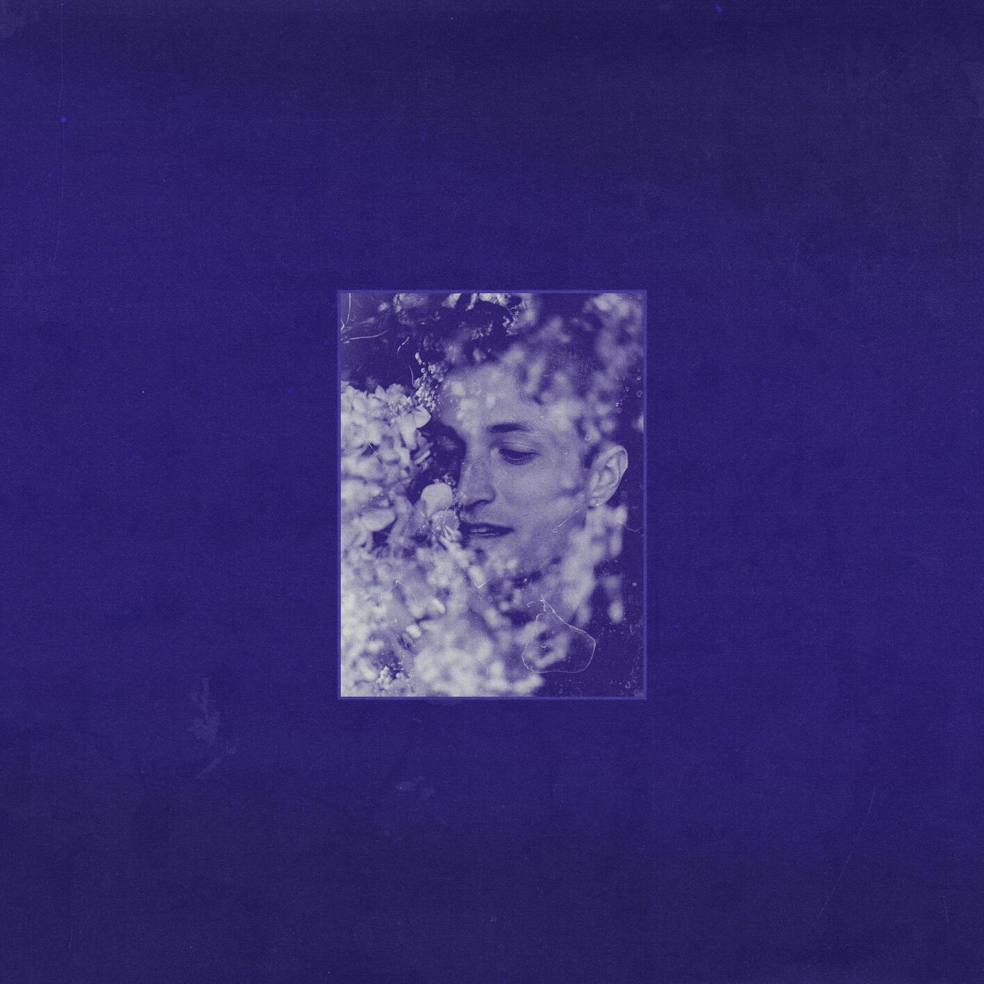 indigo 海報