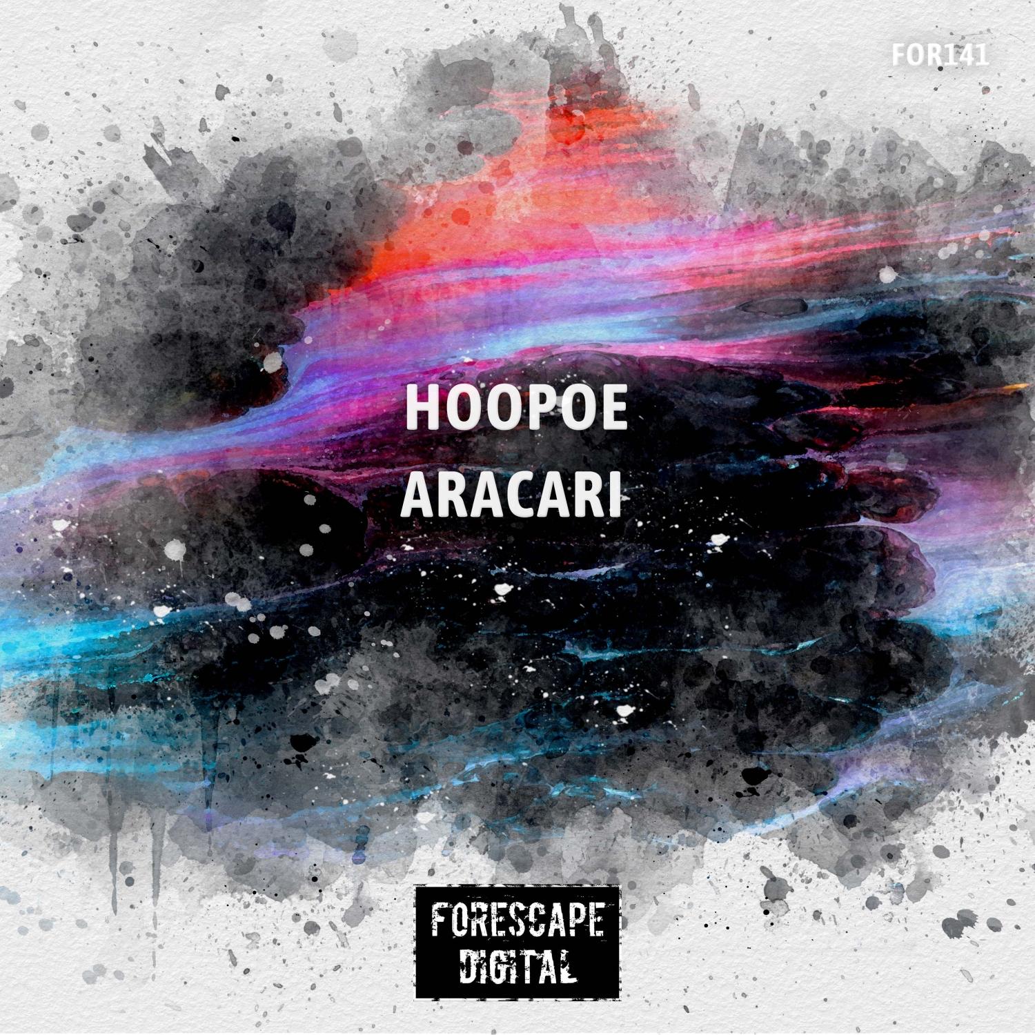 Aracari (Original Mix)
