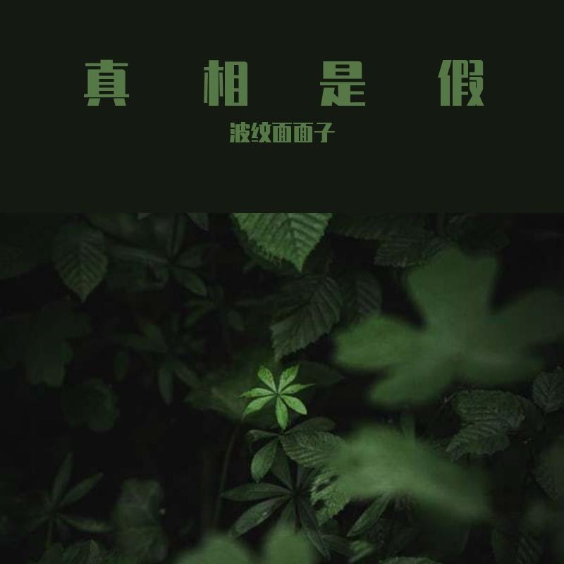 真相是假封面