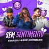 Dj Jefferson Almeida - Sem Sentimento