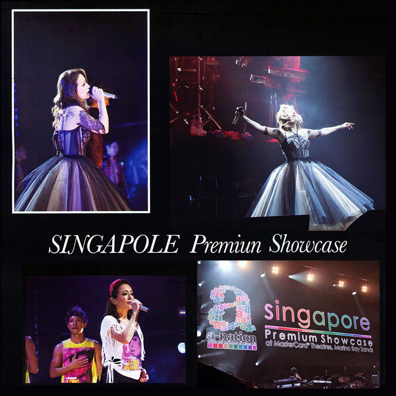 婆崎英文小课堂 Singapore Interview at anation 2014 浜崎あゆみ：Live + Rare 滨崎步资料库