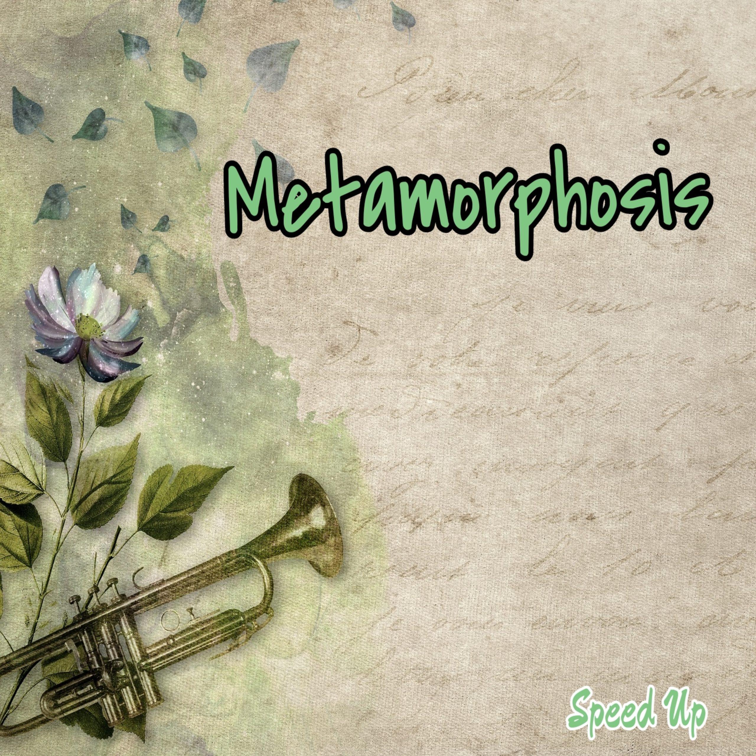 Metamorphosis (Speed Up)