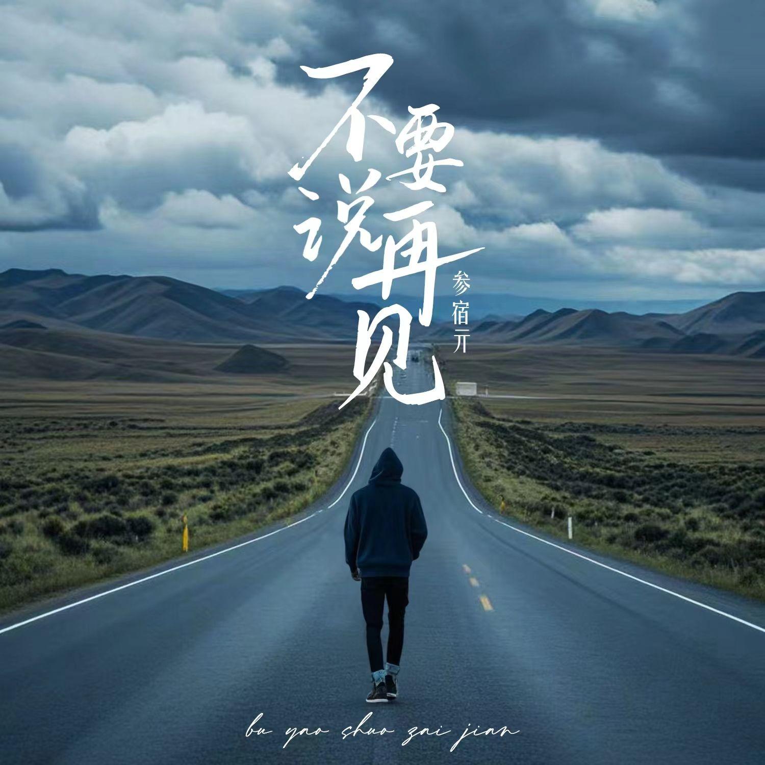 不要说再见封面