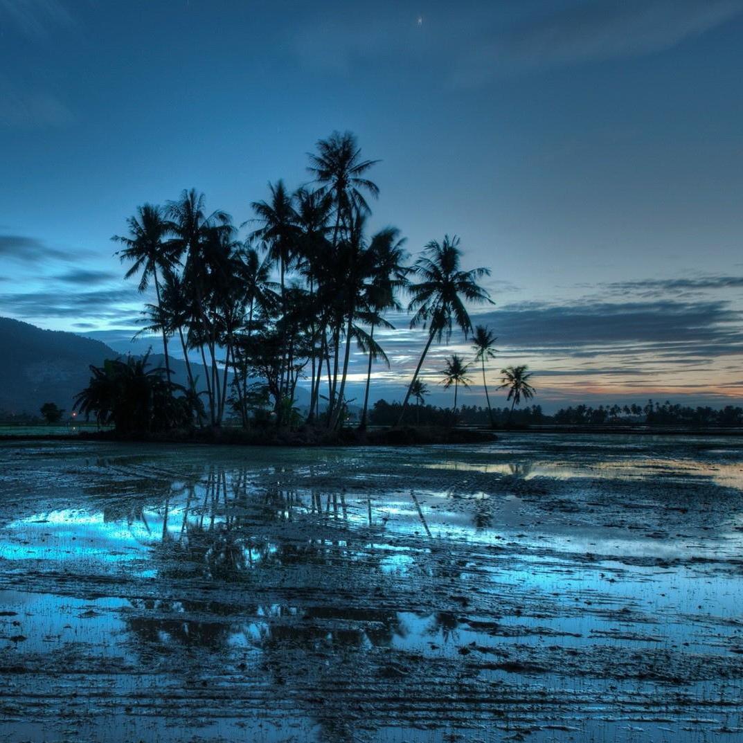 优雅舒缓的古典音乐精品演绎