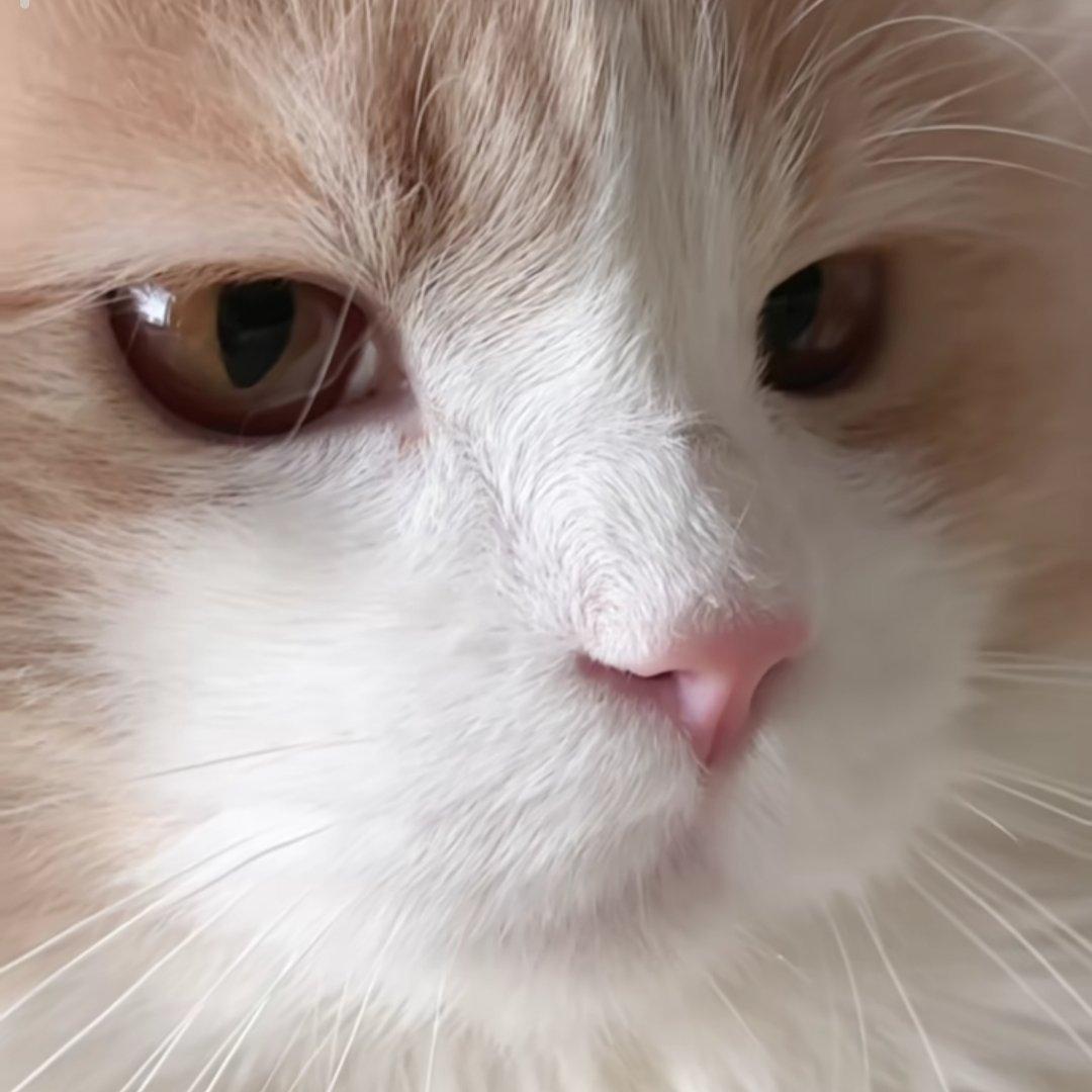 不说话就是单纯不想说