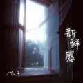 新鲜感 (DJ版)封面