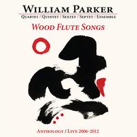 Wood Flute Songs: Anthology / Live 2006-2012