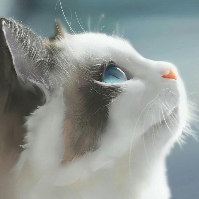 节奏深似火---律动宛如共鸣