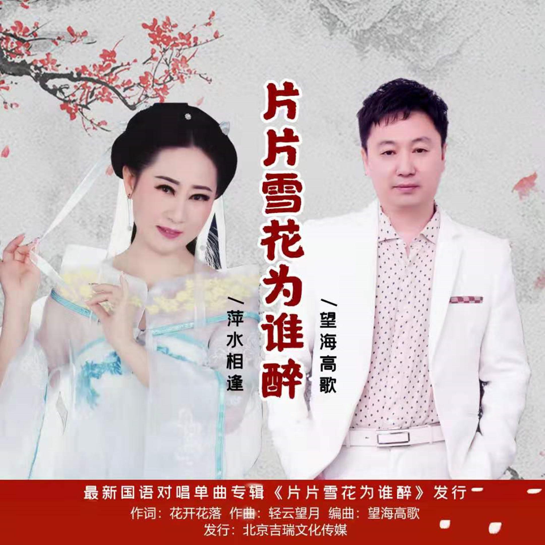 片片雪花为谁醉（伴奏）封面