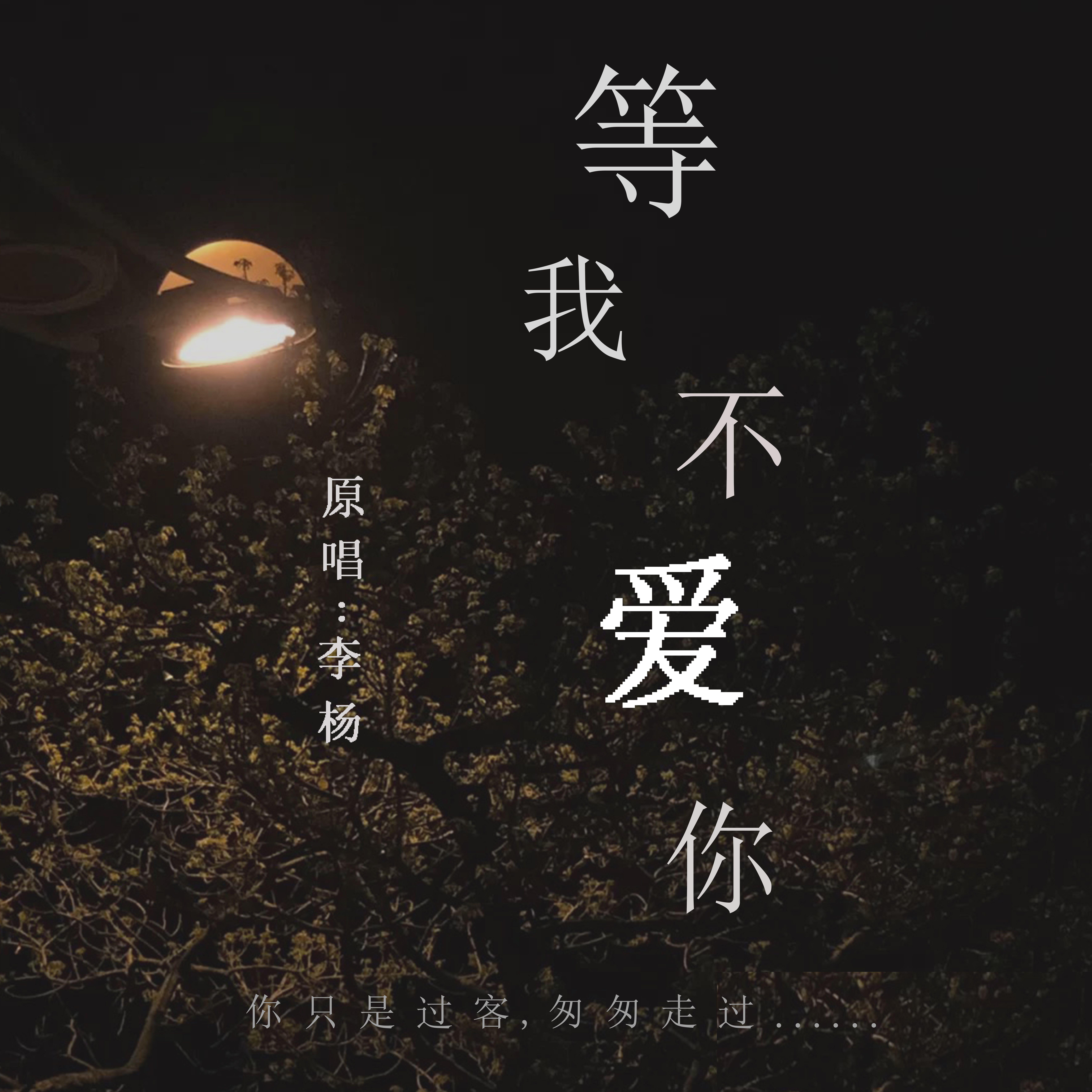 等我不爱你 伴奏 - 李杨封面