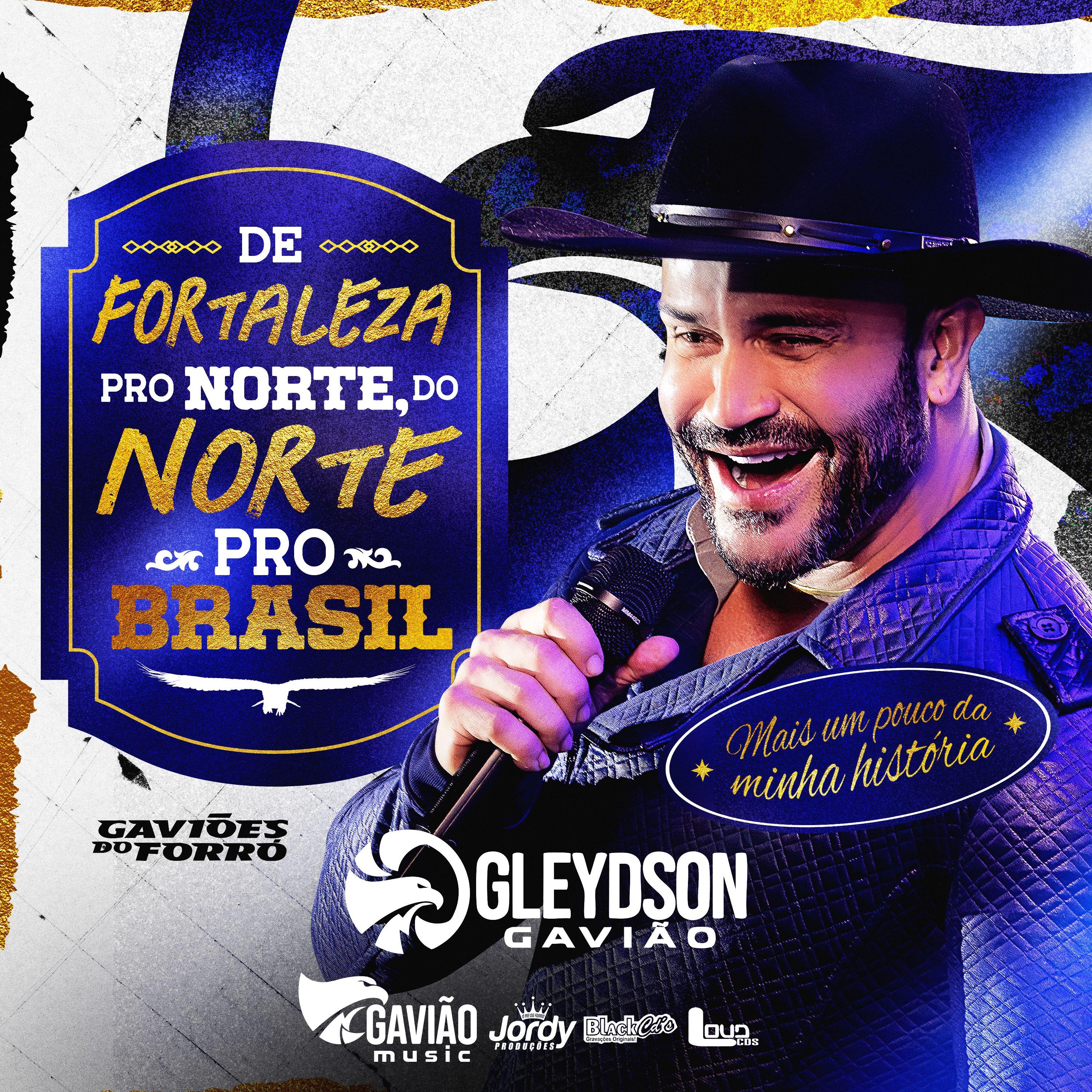 Pout Porri - Picada da Cobra/ Vem de Quatro Pé/ Briga no Forró/ Pode Vir Mulher