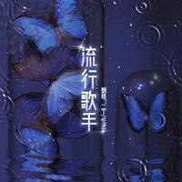 流行歌手