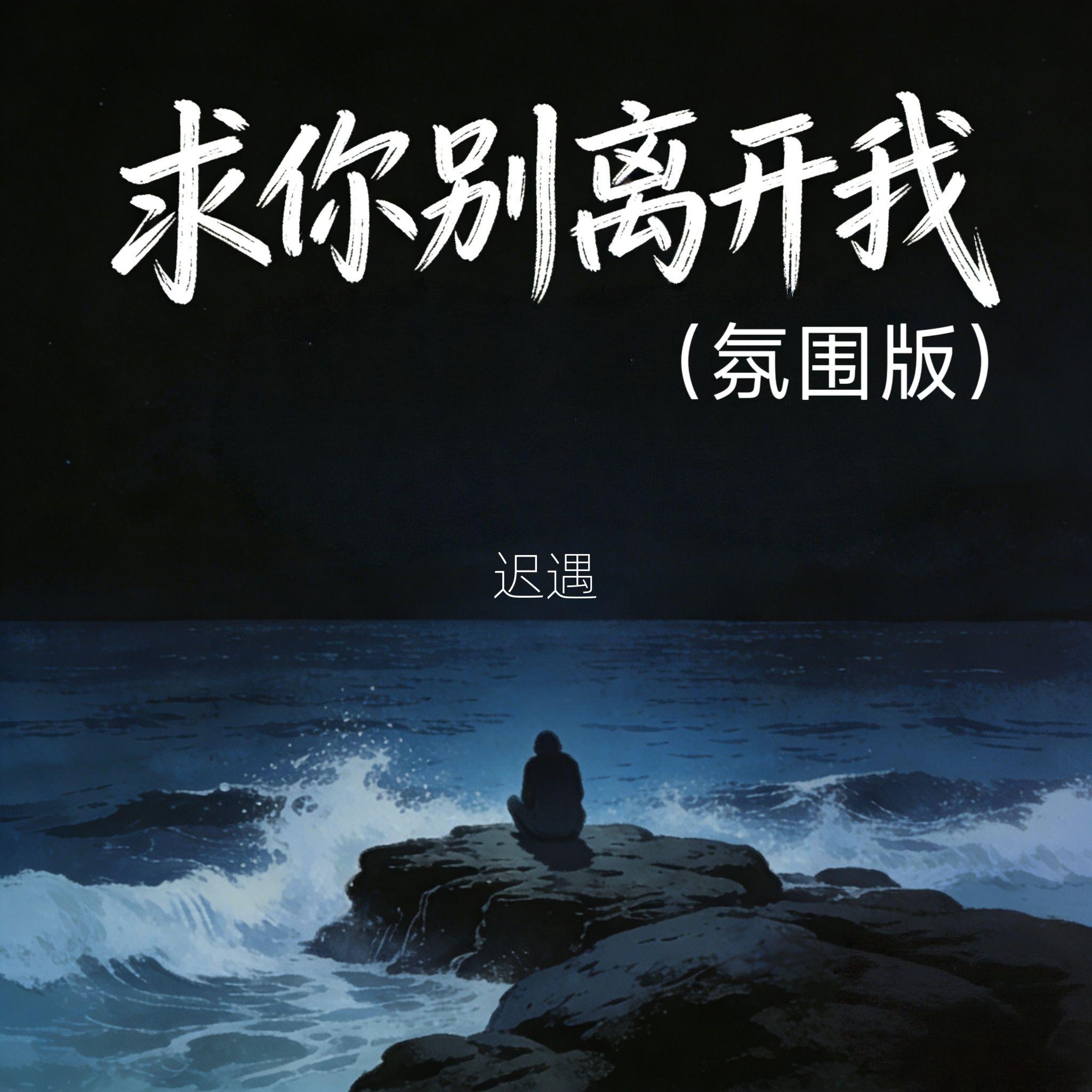 求你别离开我 - 迟遇封面