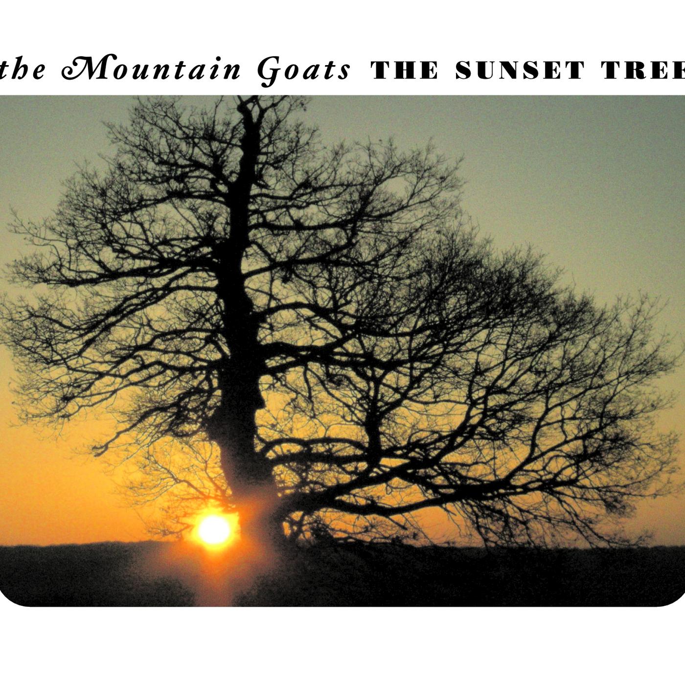 Up The Wolves_The Mountain Goats_The Sunset Tree | 在线播放_Up The Wolves歌词_Up The Wolves下载 | 网易云音乐
