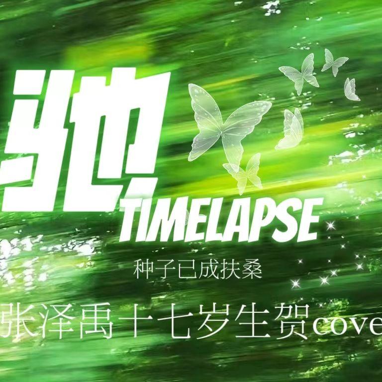 驰 Timelapse封面