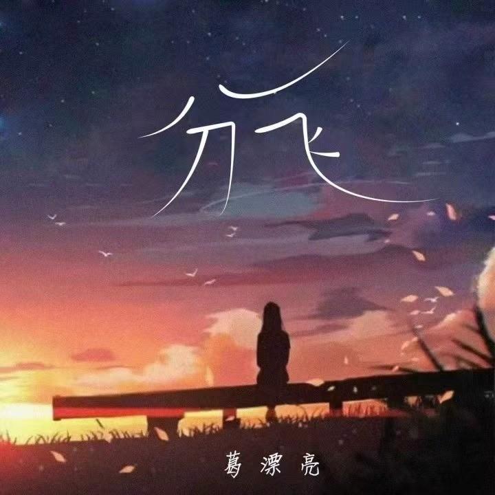 分飞（雨纷飞） (DJ九零版) - 葛漂亮封面