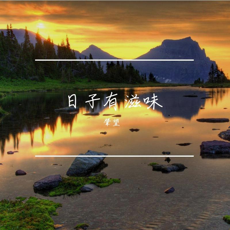 世事清欢封面