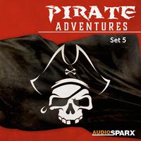 Pirate Adventures, Set 5