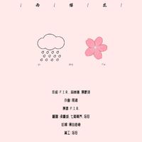 雨樱花