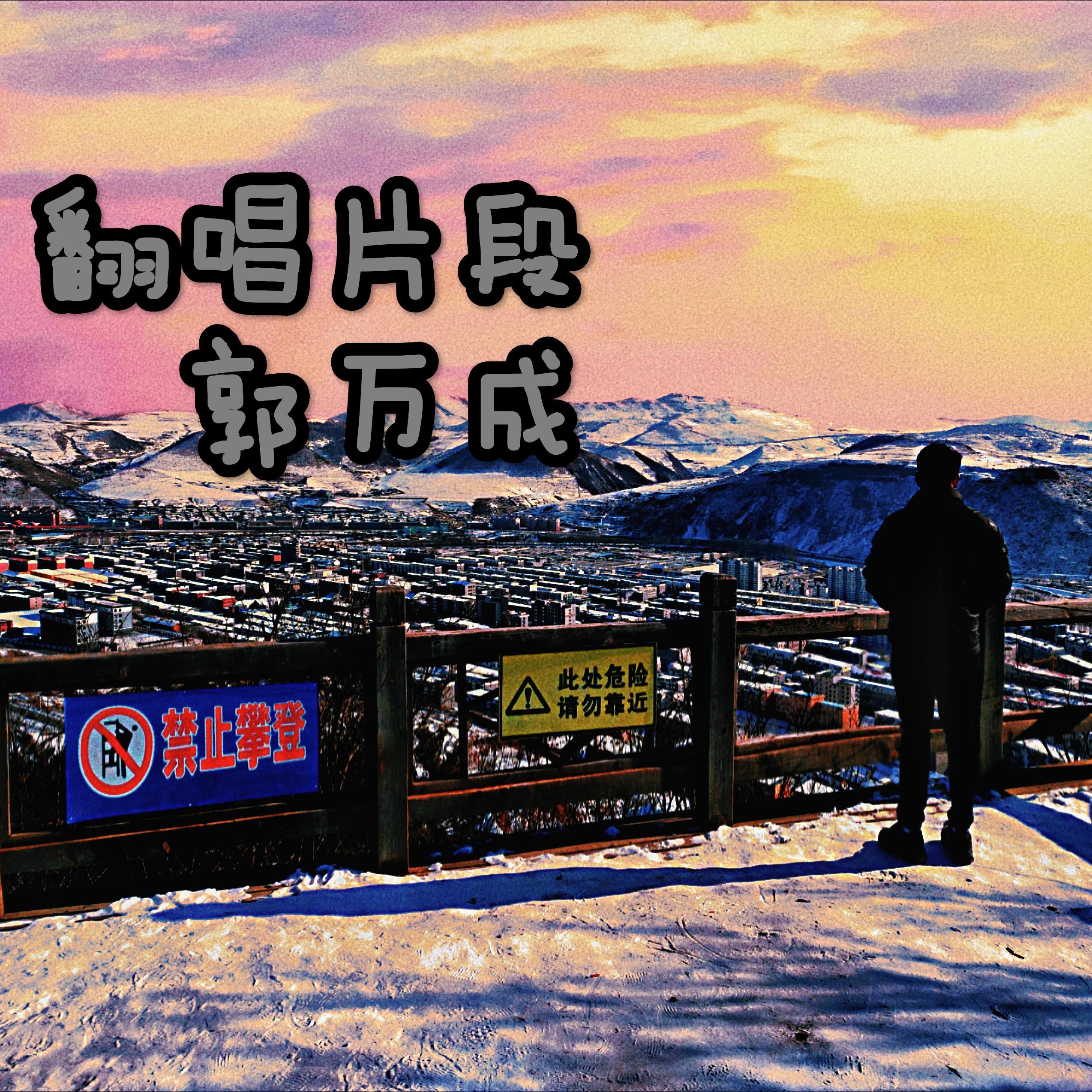 走马 (片段)封面