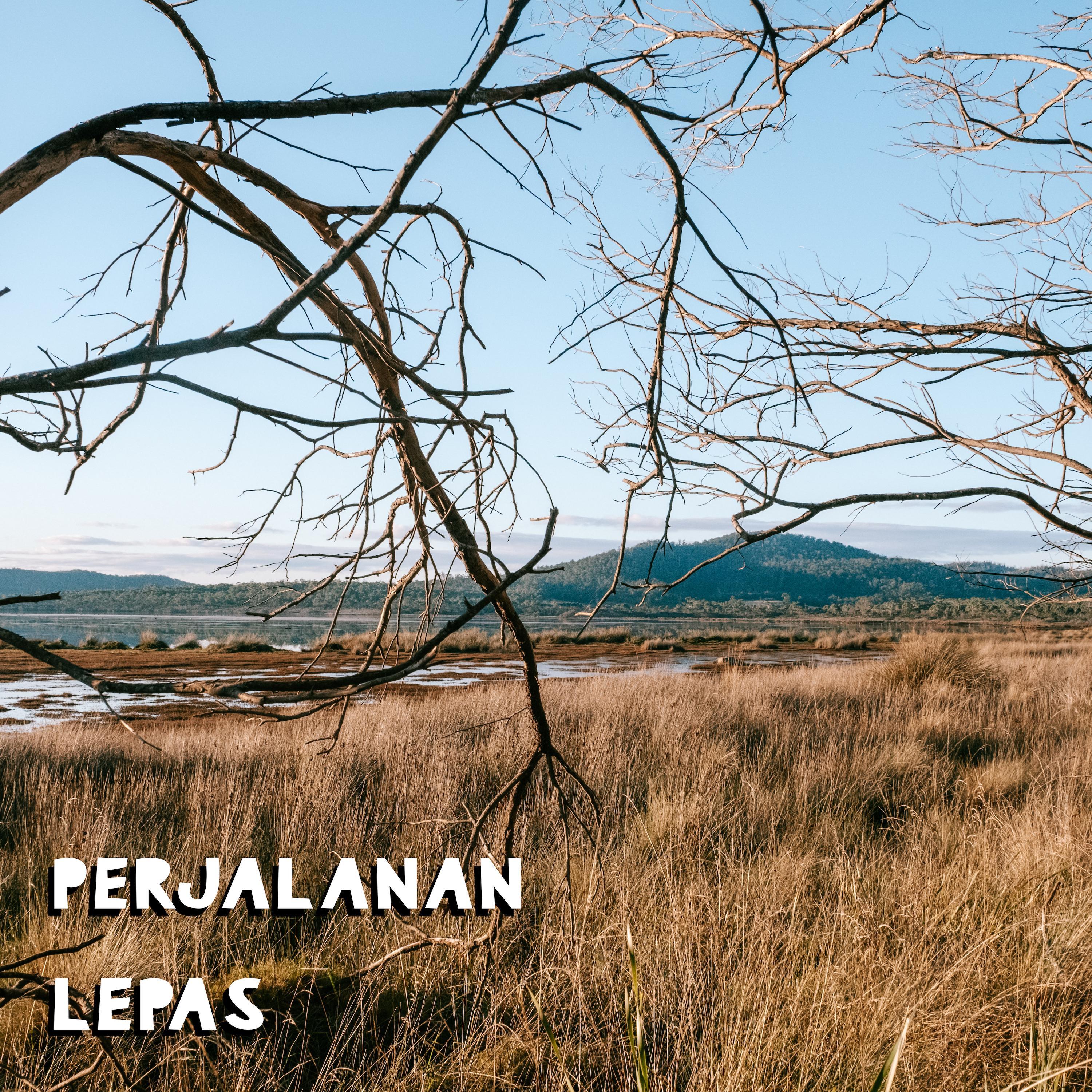 Perjalanan (feat. MorningMaxwell)