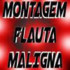 DJ NEVASCA ZS - MONTAGEM FLAUTA MALIGNA